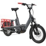 Bicicleta urbana CANNONDALE Cargowagen Neo 2 - Imagen 3