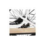 Bicicleta Eléctrica de Carga Ciclotek London - Imagen 3