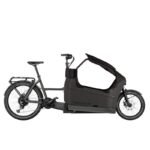 Bicicleta Eléctrica Cargo Familiar Riese & Müller Packster2 70 Family - Imagen 6