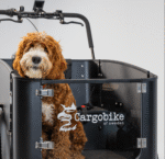 Bicicleta de Carga Flex Dog - Imagen 10